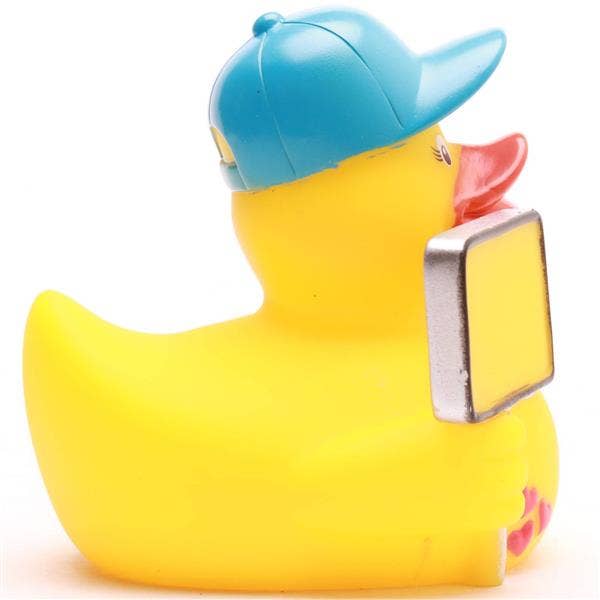 Canard Panneau de Ville