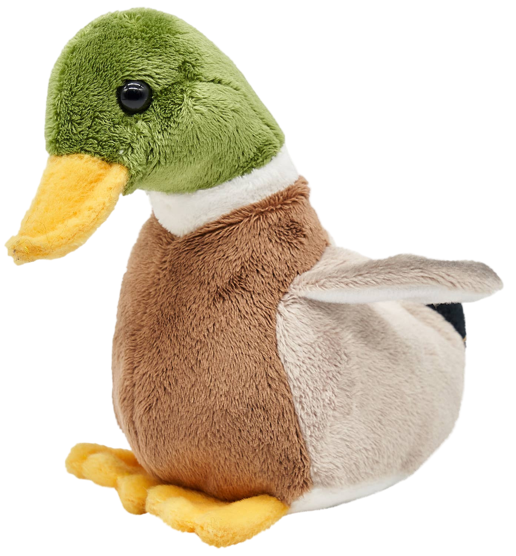 Peluche Canard Colvert