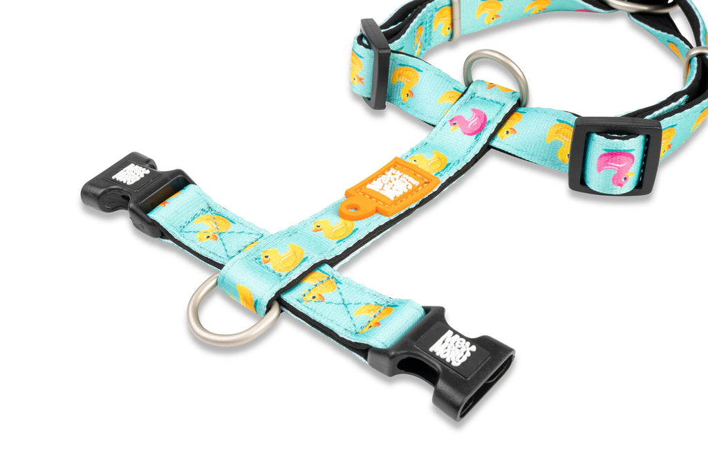 Harnais en H - Canards