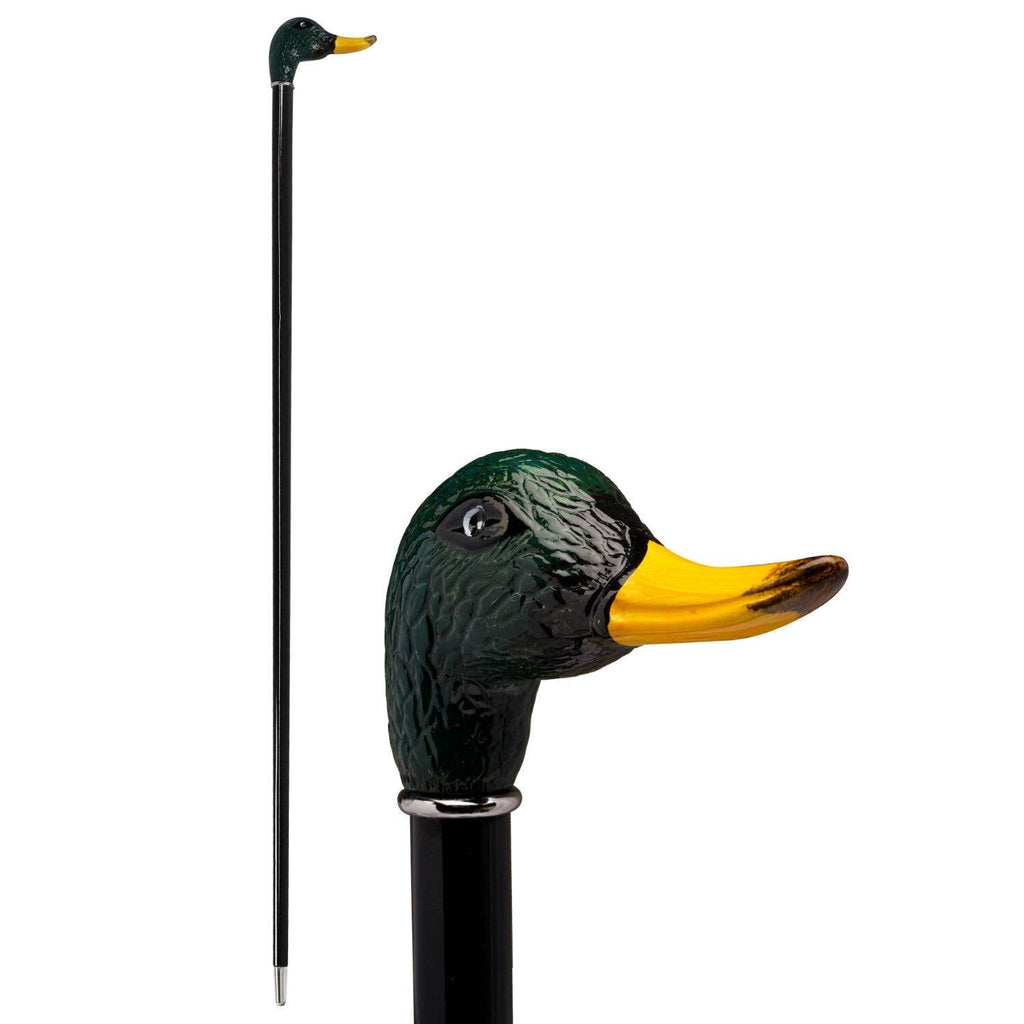Canne Canard Colvert