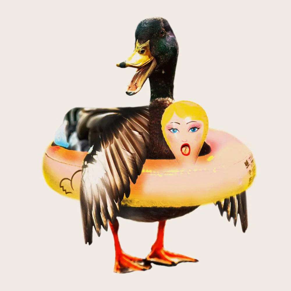 casquette-canard-colvert-num-wear