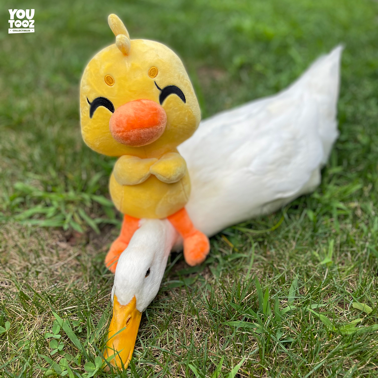 Duck This Plush (9in)