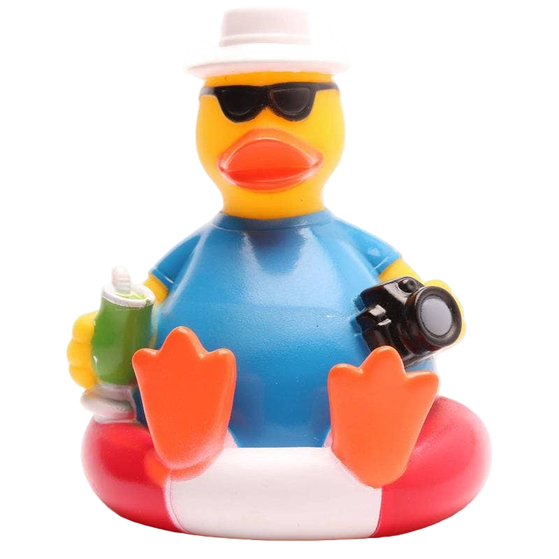 Tourist Duck on a Buoy