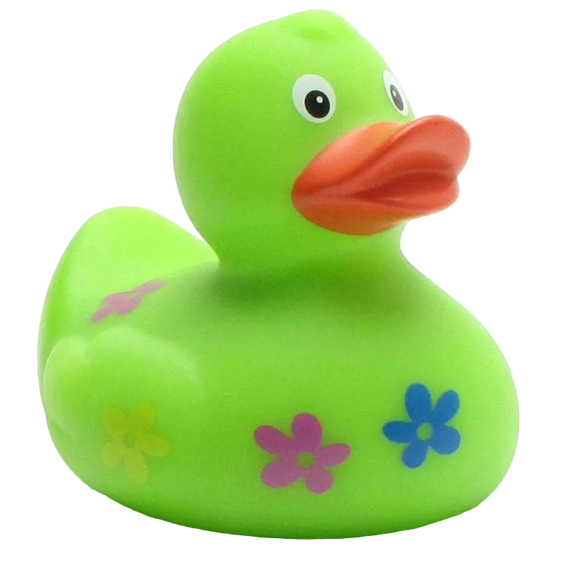 Floral Duck