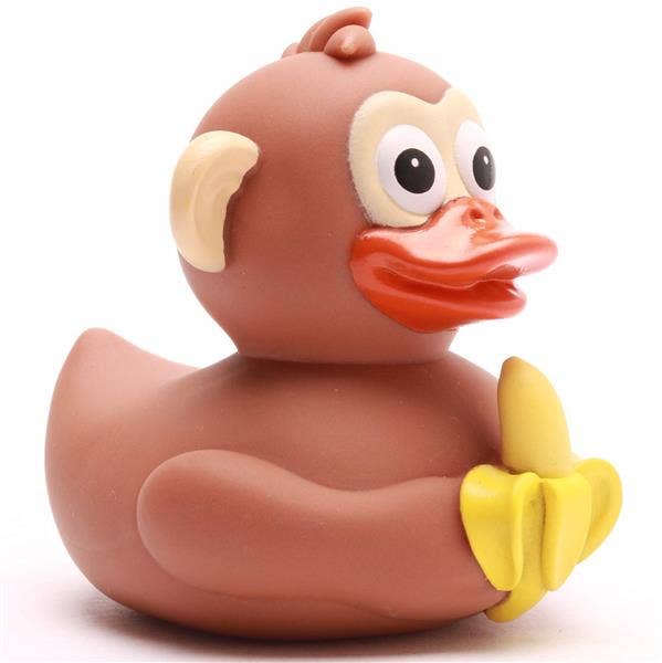 Canard Singe