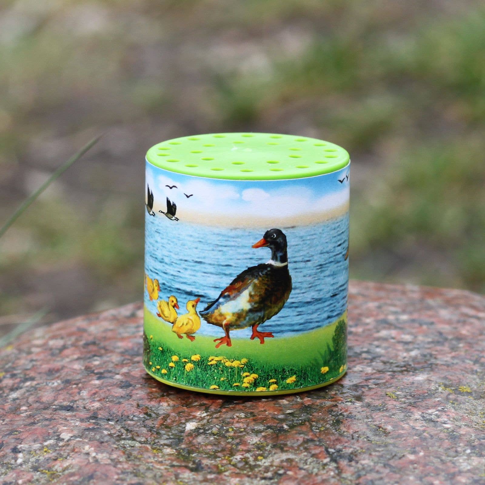 Boîte à sons d'animaux - Canard