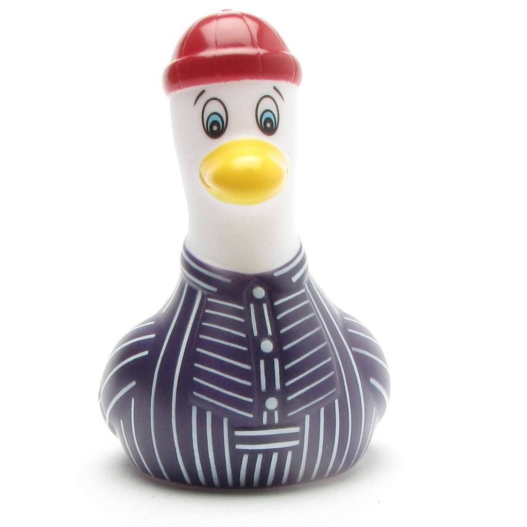 Möwe