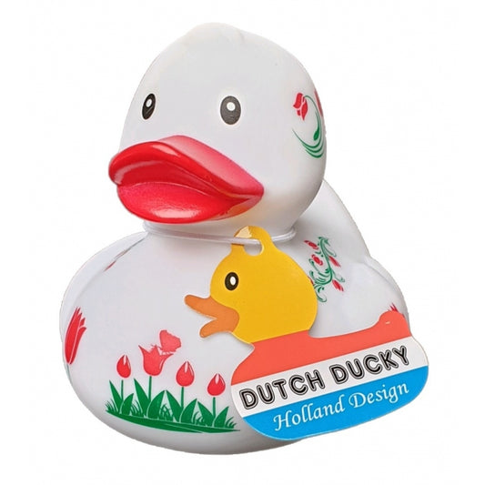 Holland duck