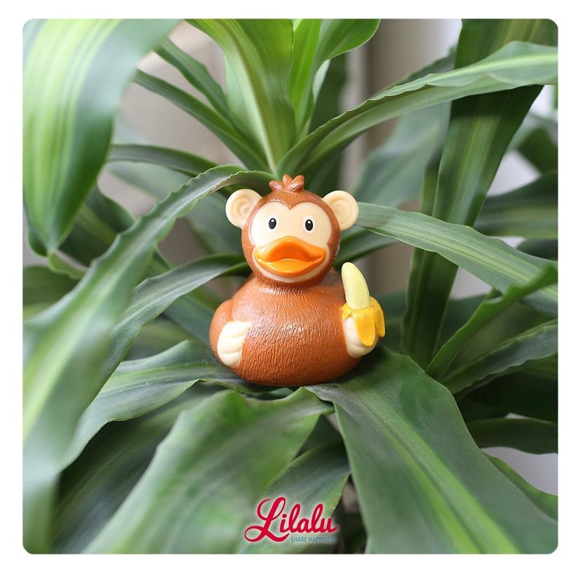 canard-singe-lilalu