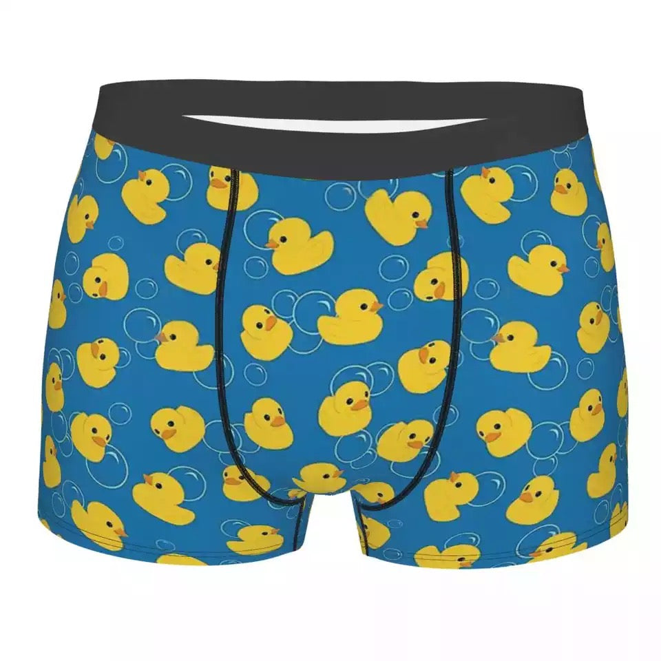boxer canards bulles