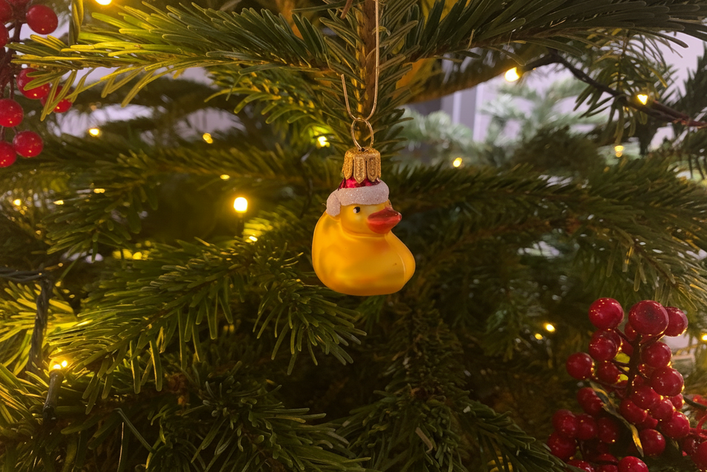 Kerstbal eend bad