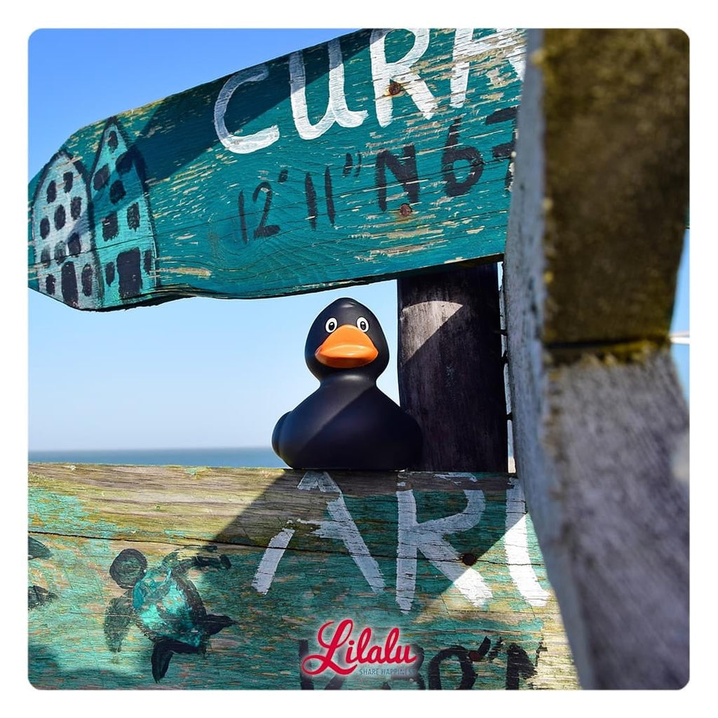 Canard Classique Noir