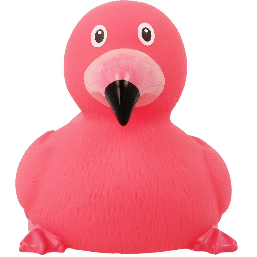 Duck rosa fenicottero.