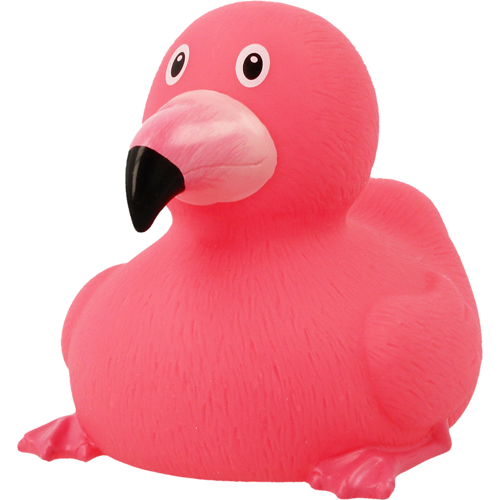 Duck rosa fenicottero.