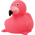 Duck rosa fenicottero.