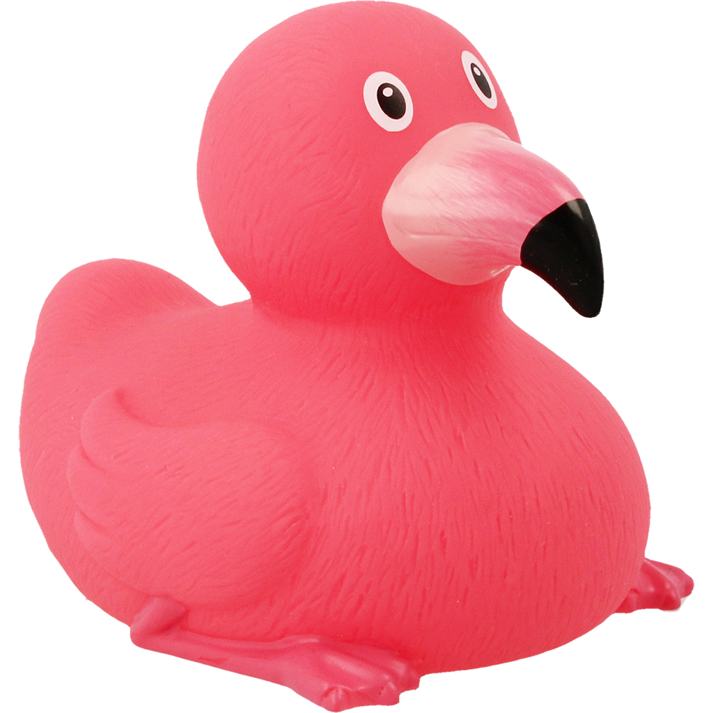 Duck rosa fenicottero.