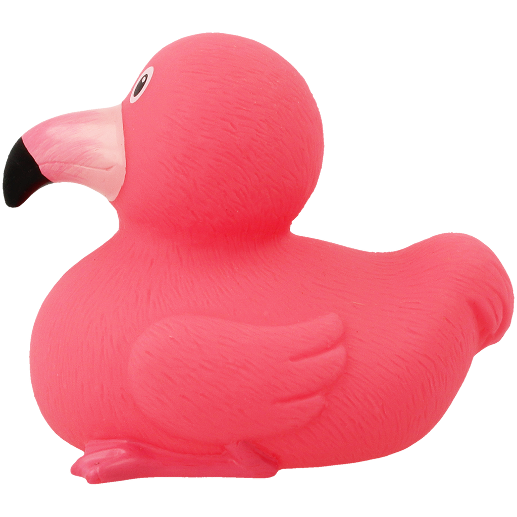 Duck rosa fenicottero.
