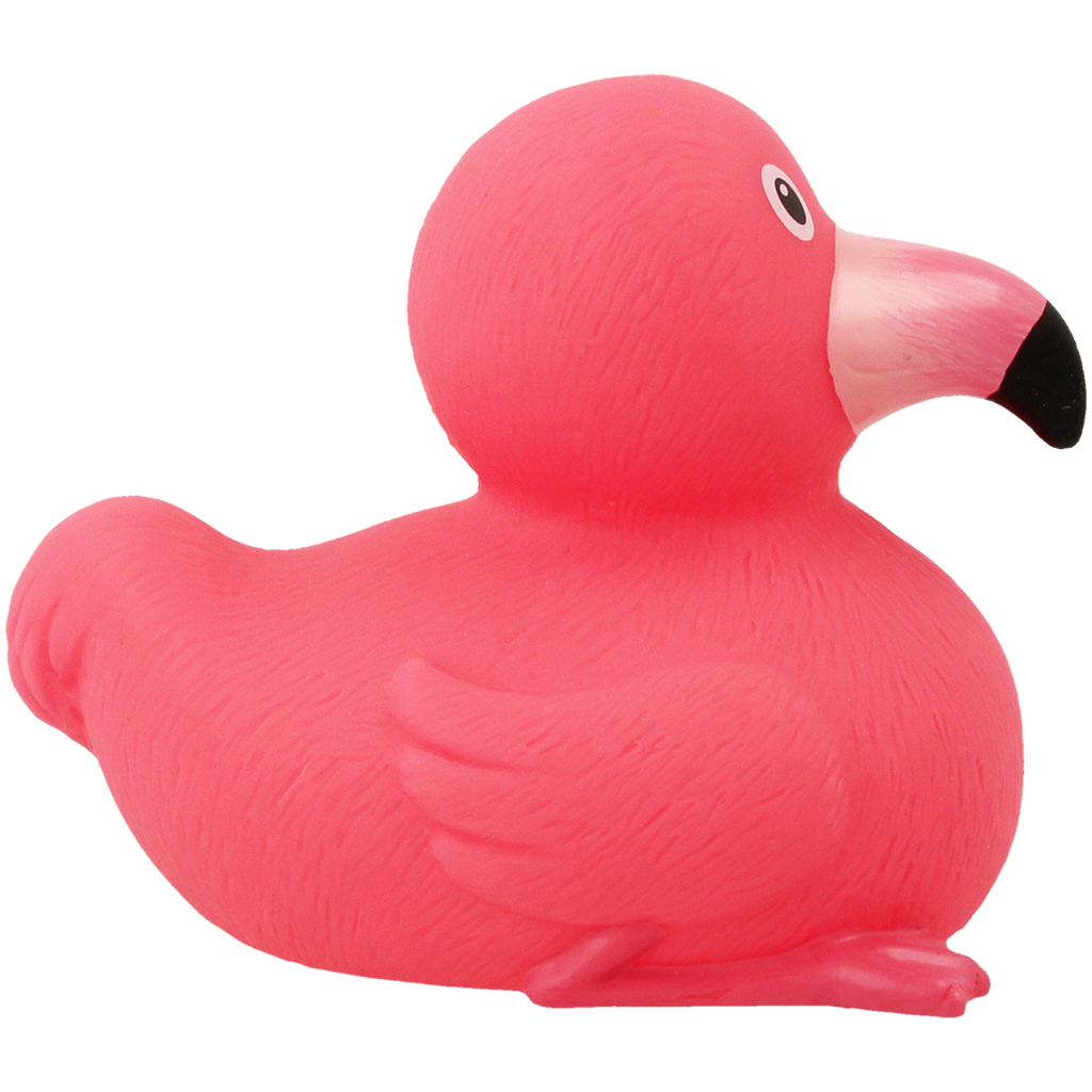Duck rosa fenicottero.