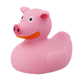Duck Pig