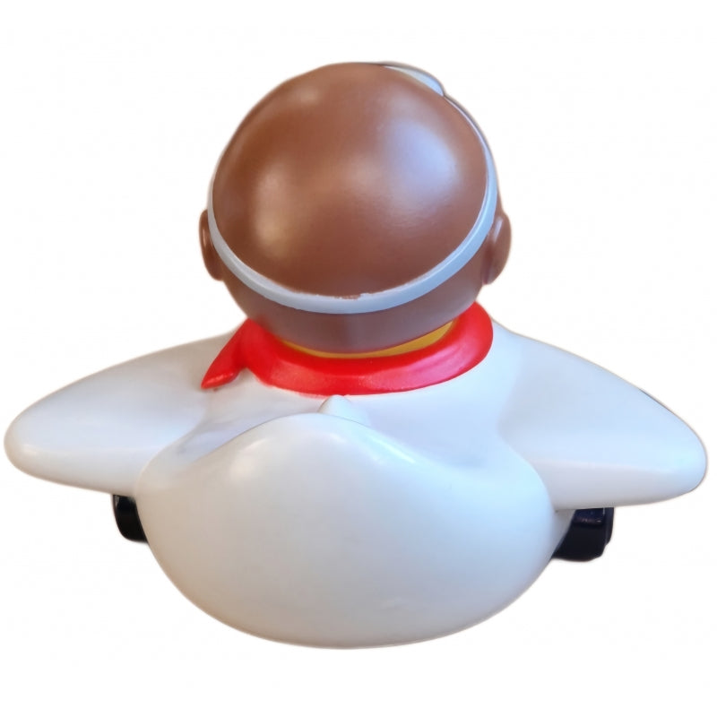 Canard Aviateur