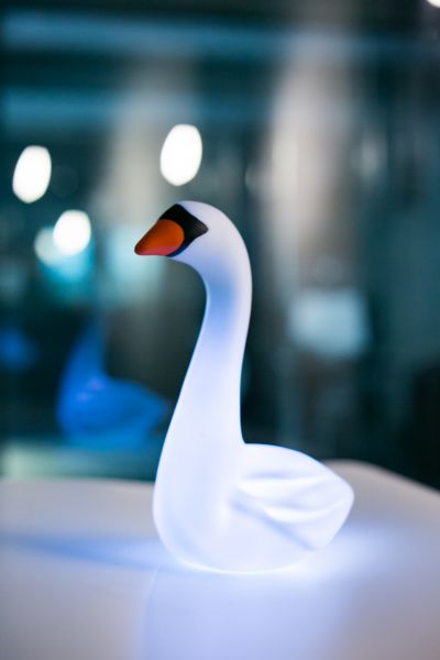Veilleuse Cygne