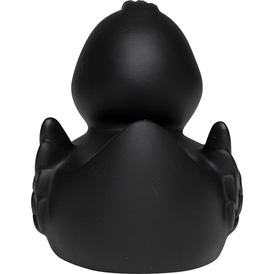 Canard uni avec ailes