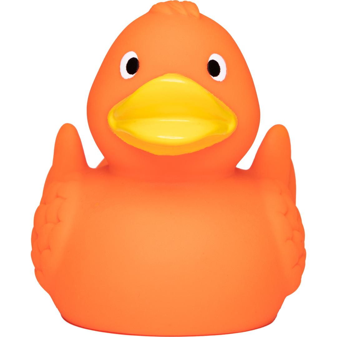 Canard uni avec ailes