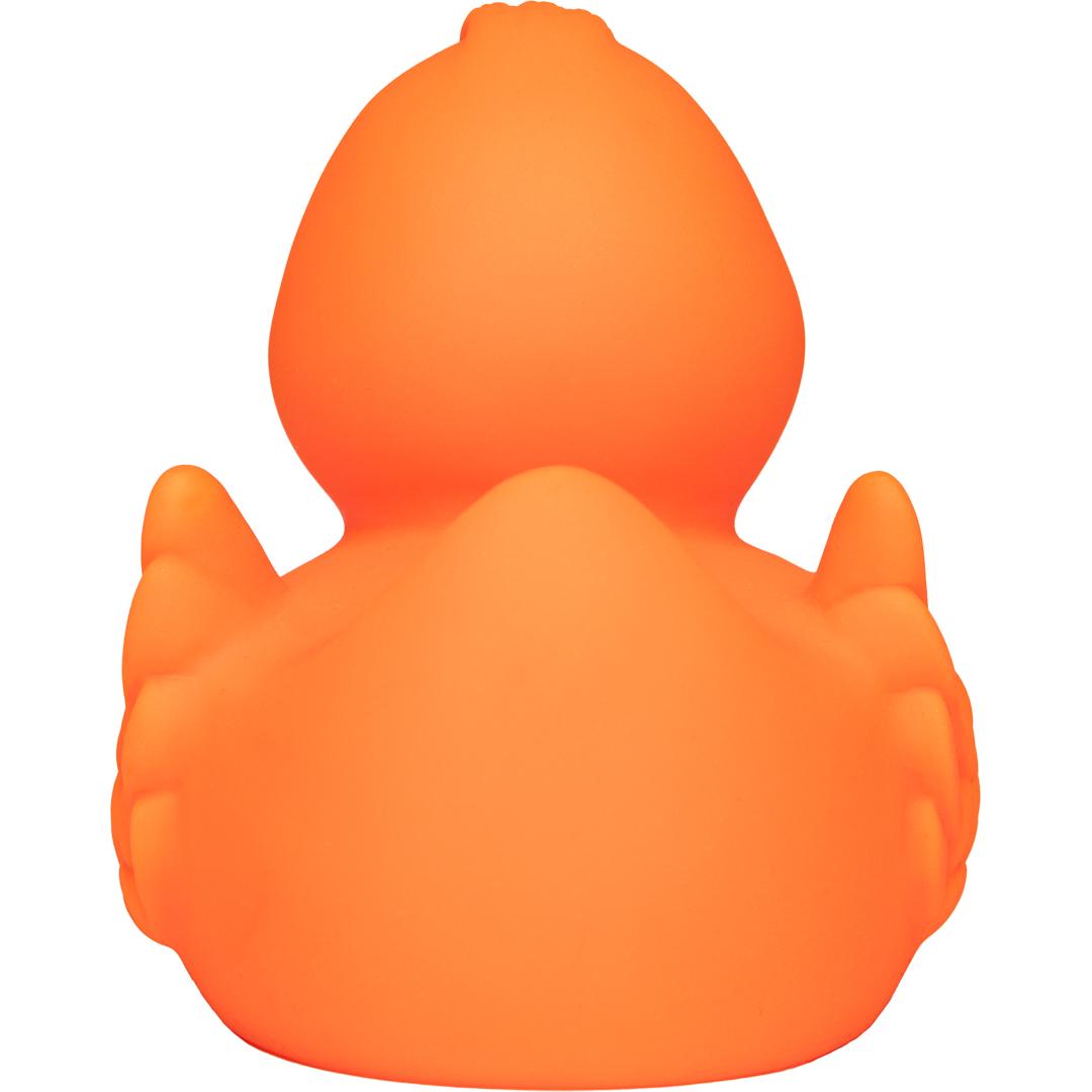 Canard uni avec ailes