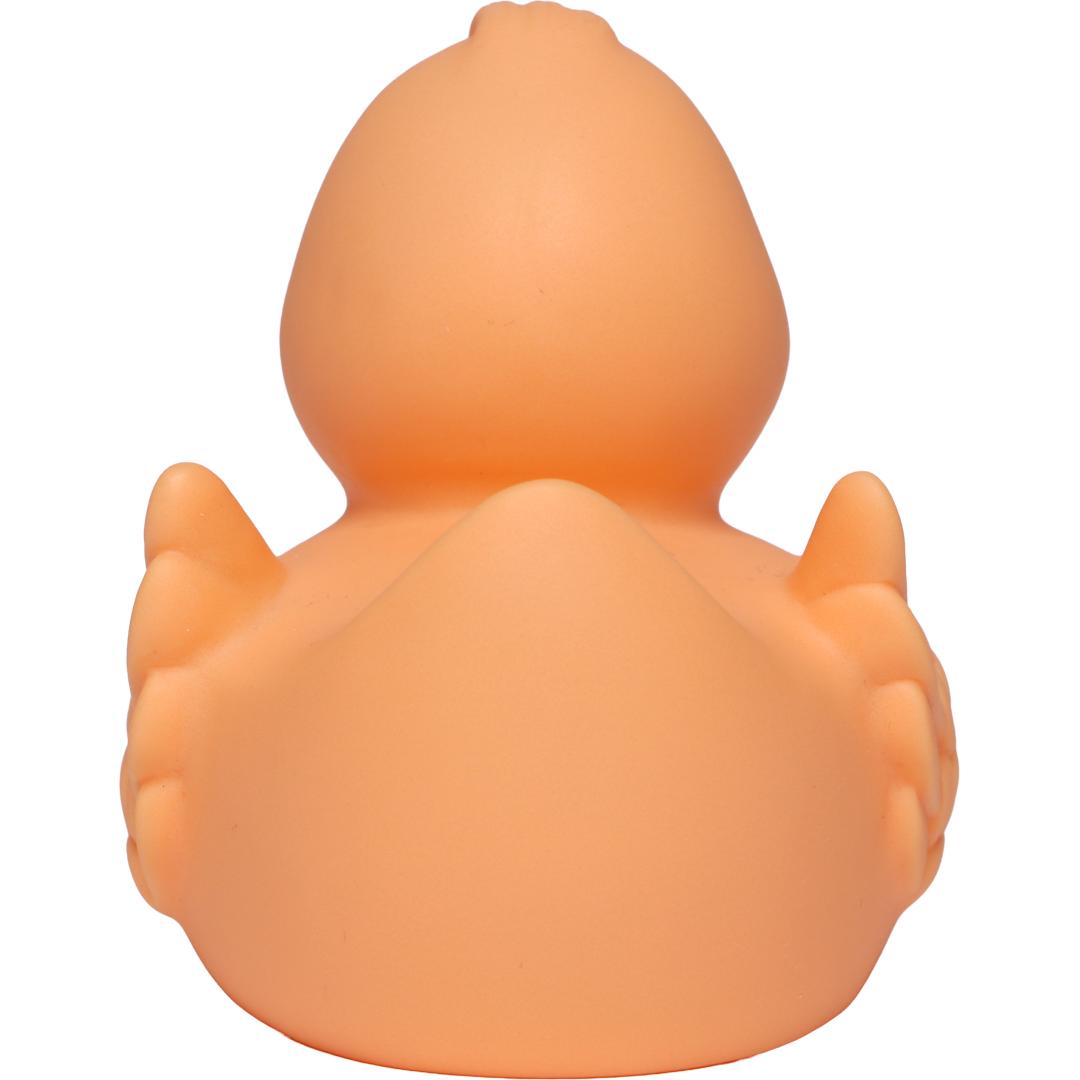Canard Pastel avec ailes
