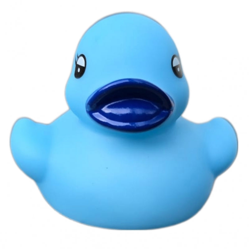 Petit Canard Classique
