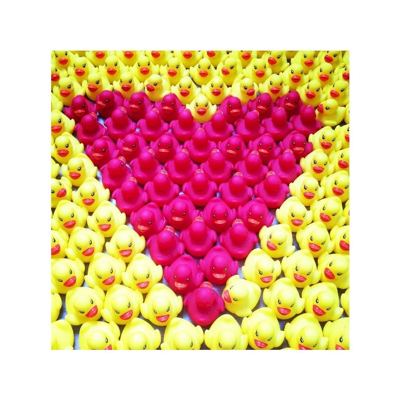 Petit Canard Classique
