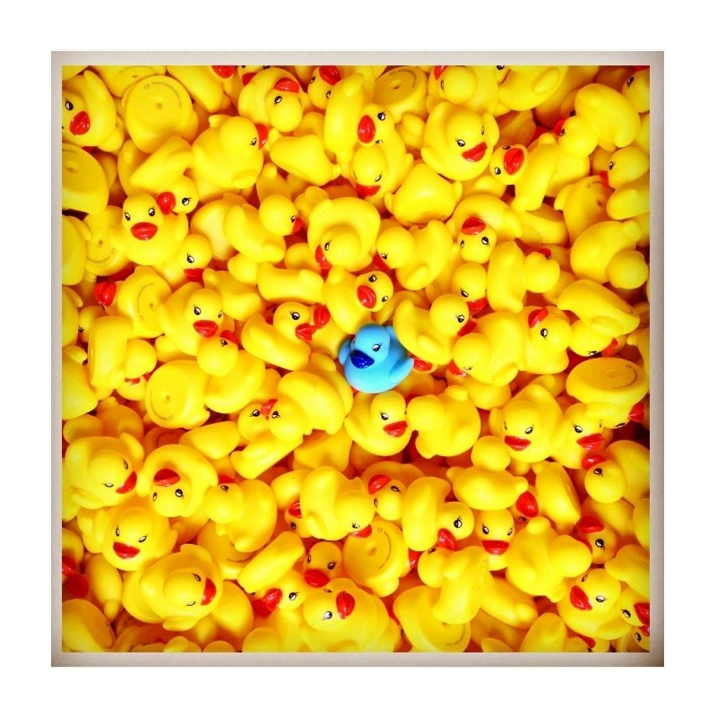 Petit Canard Classique