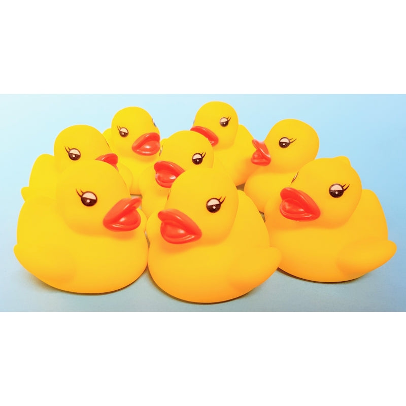 Petit Canard Classique
