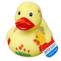 Duck Holland Tulpen - Gelb