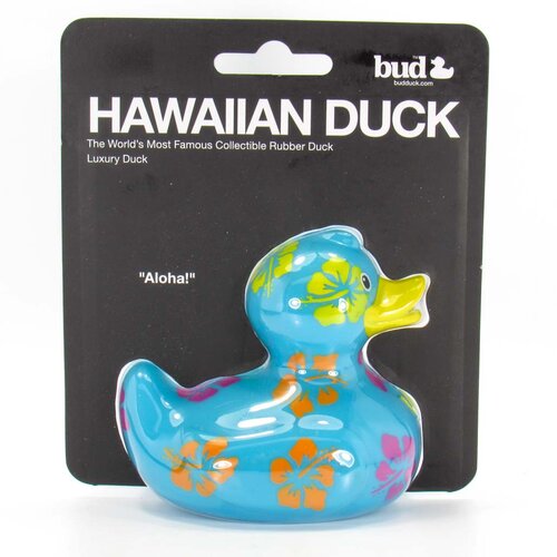 Hawaiian duck