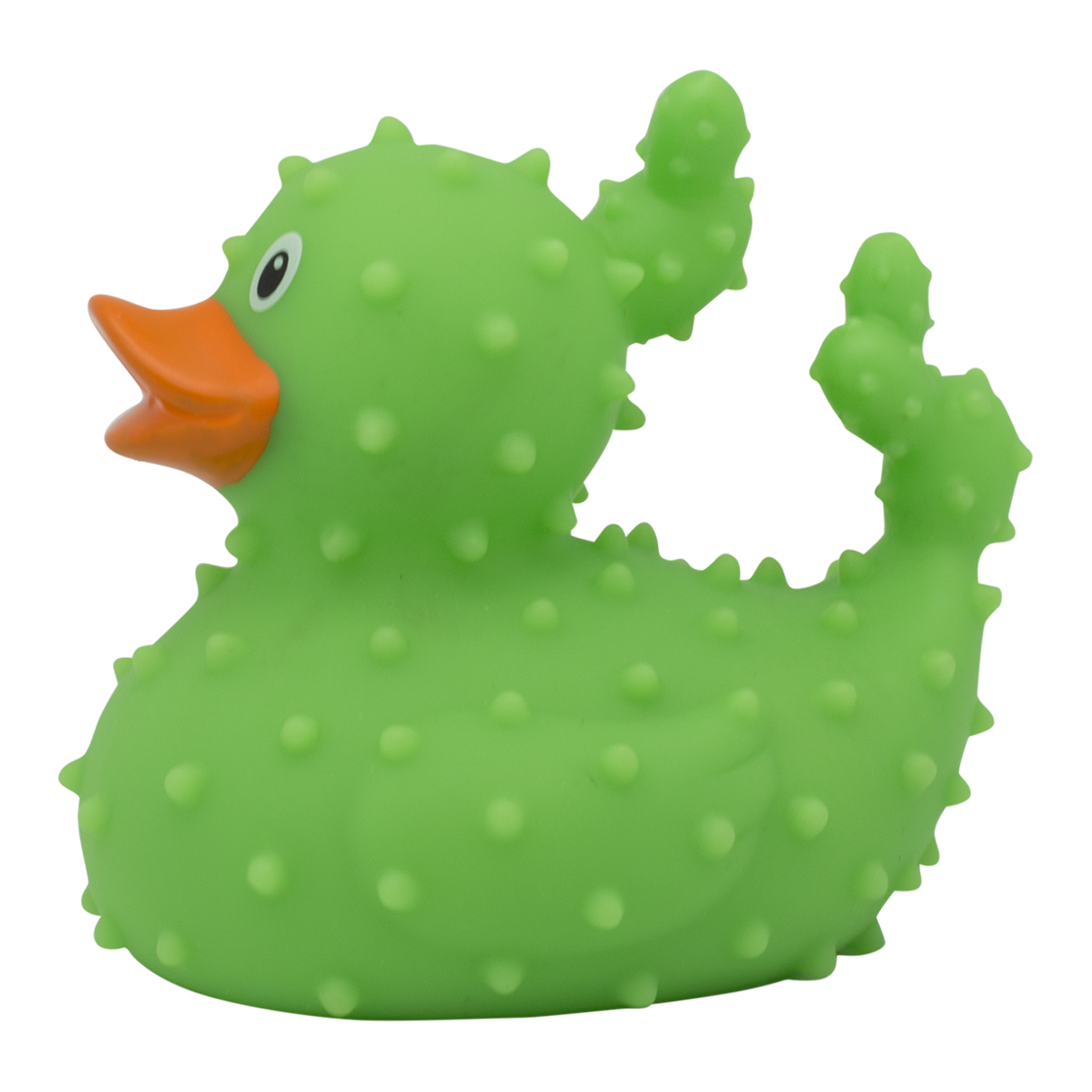 Cactus duck.