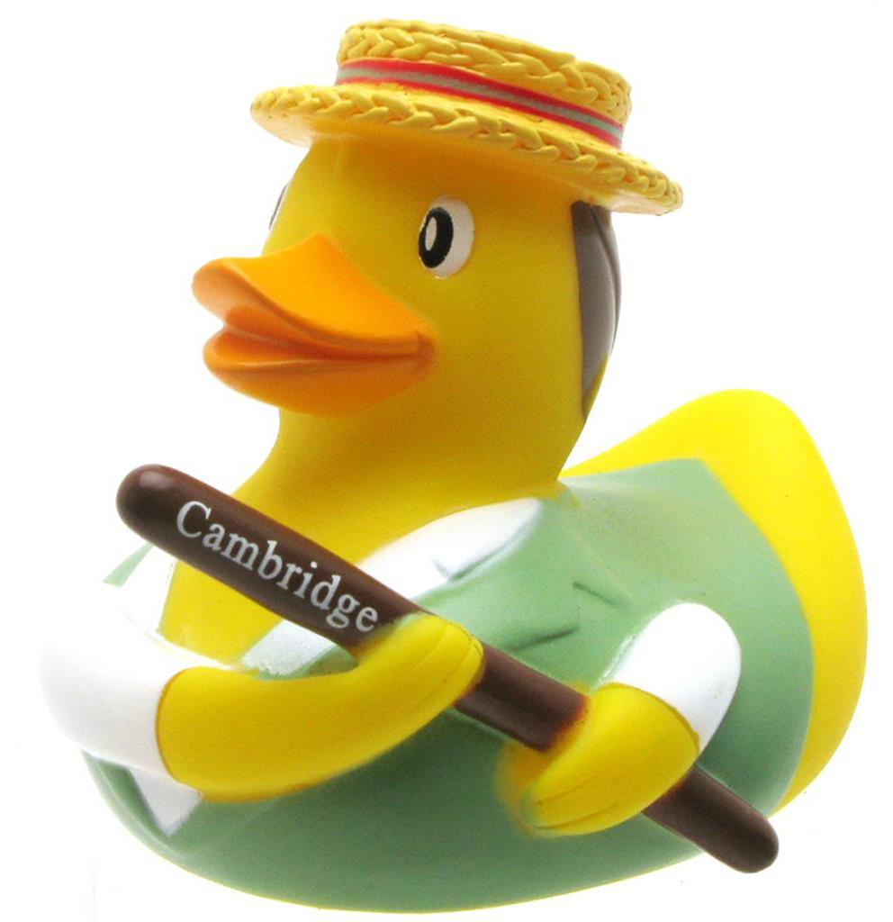 Duck Cambridge