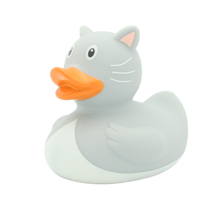 Chat duck