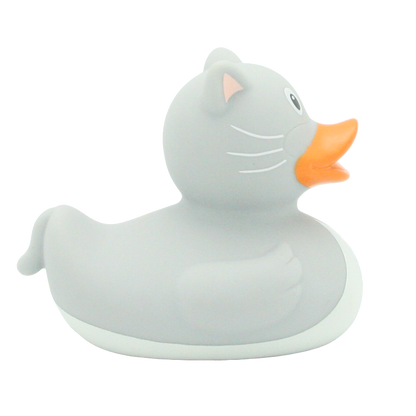 Chat duck