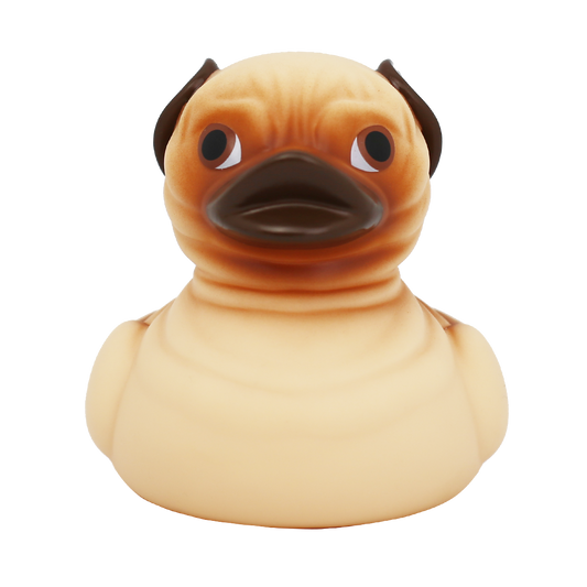 Pug Dog Duck.