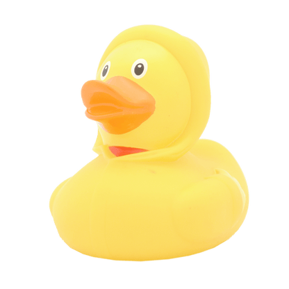 Yellow waxed duck