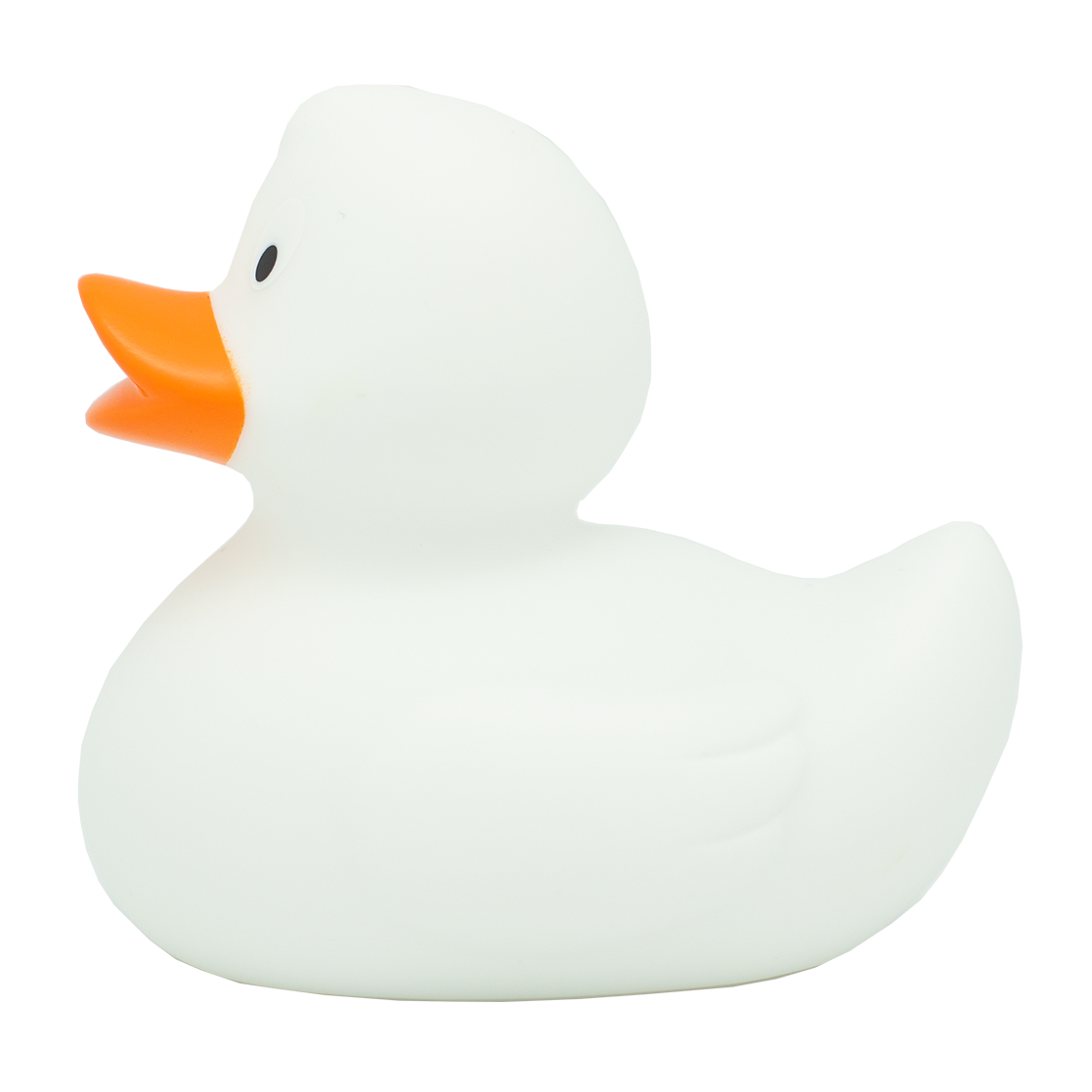 Classic white duck