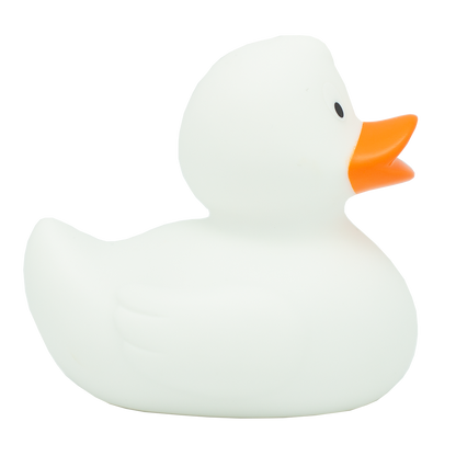 Classic white duck