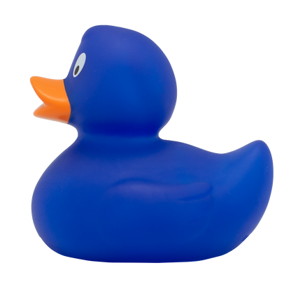Classic blue duck