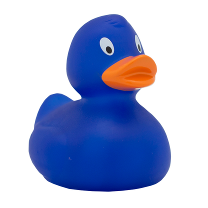 Classic blue duck