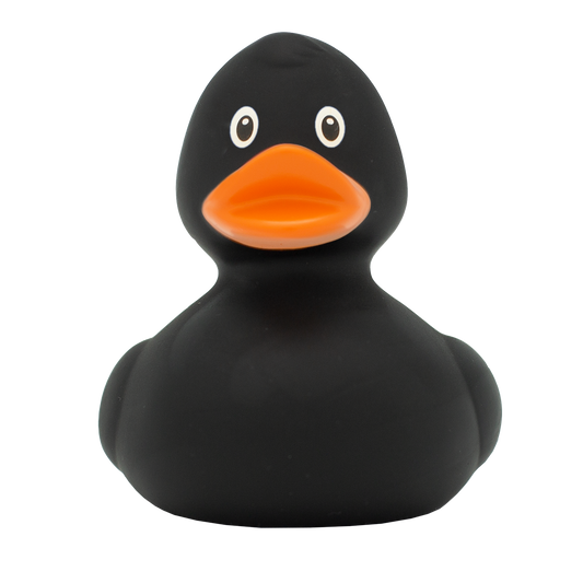Classic black duck