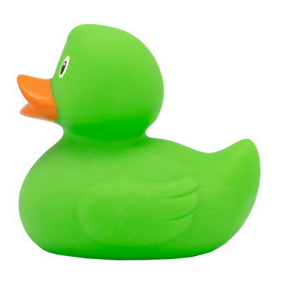 Classic green duck