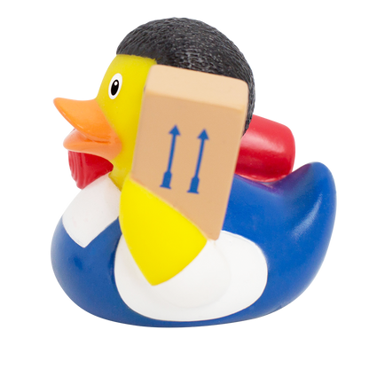 Duck