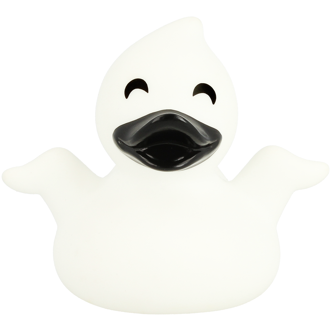 Ghost duck
