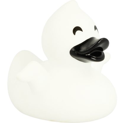Ghost duck